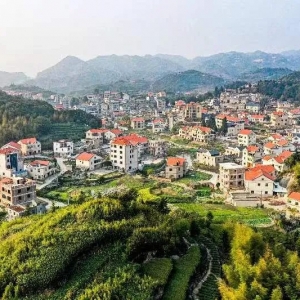 美丽中国厦门实践⑥｜军营村的绿色致富路（求是网）