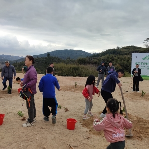 播种春天，让绿意伴童心生长——厦门学子春日植树正当时
