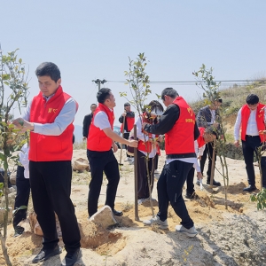 种下春天的人—某单位前往厦门军营村开展植树活动