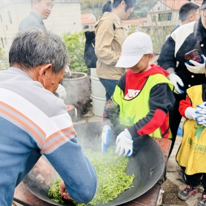 五一漫游茶山深处｜厦门军营村高山茶园采茶之旅