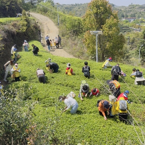 厦门公司团建，为什么选择同安军营村？